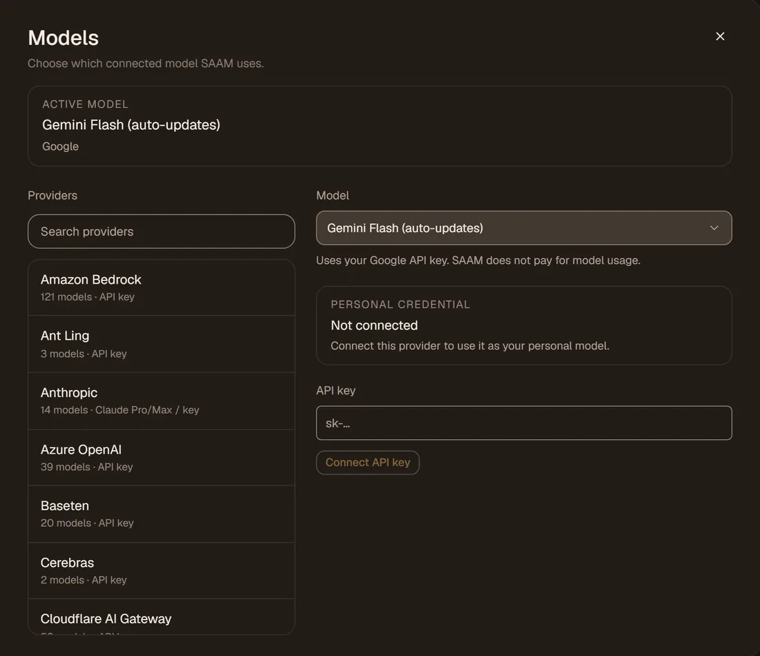 The Models settings with the active model, a provider list and an API key field.