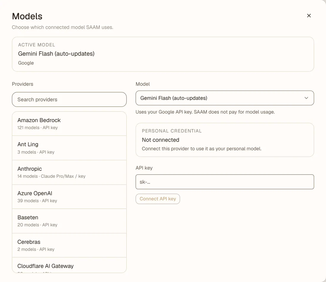 The Models settings with the active model, a provider list and an API key field.